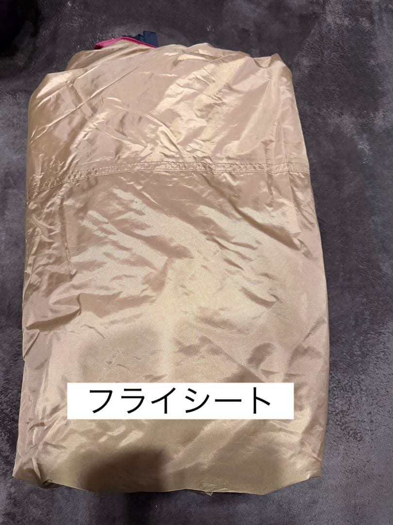 スノーピーク エントリーパックTT SET-250RH テントタープセット