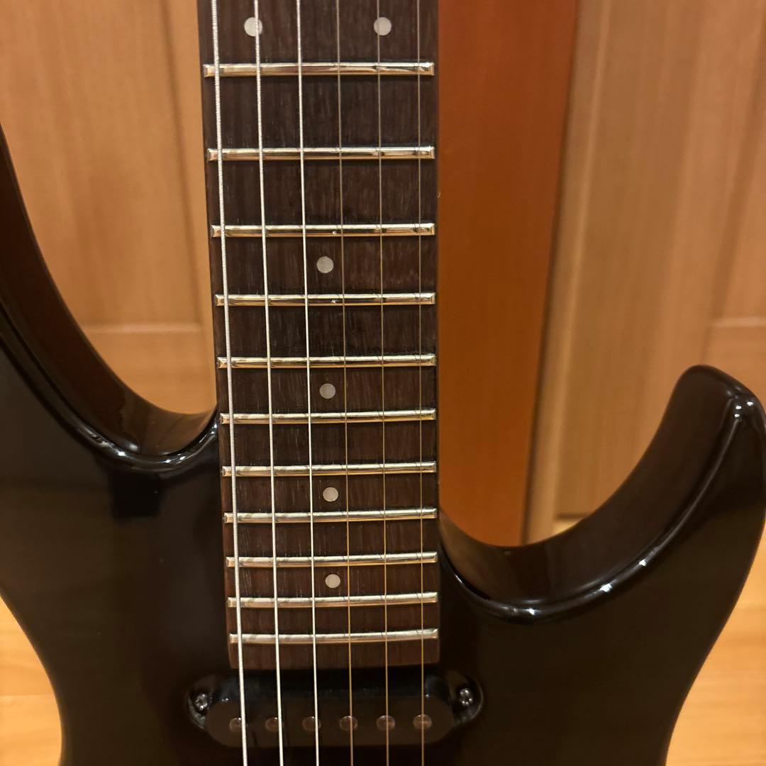 ARIA PRO II VAシリーズ ブラックパーツ仕様 トレモロアーム付