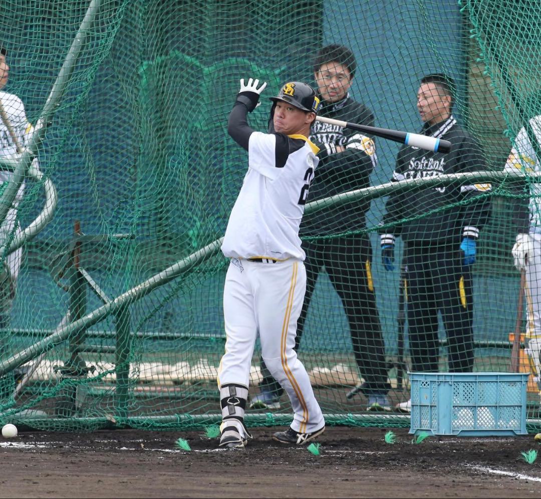 福岡ソフトバンクホークス #24 長谷川勇也 選手 実使用マスコットバット