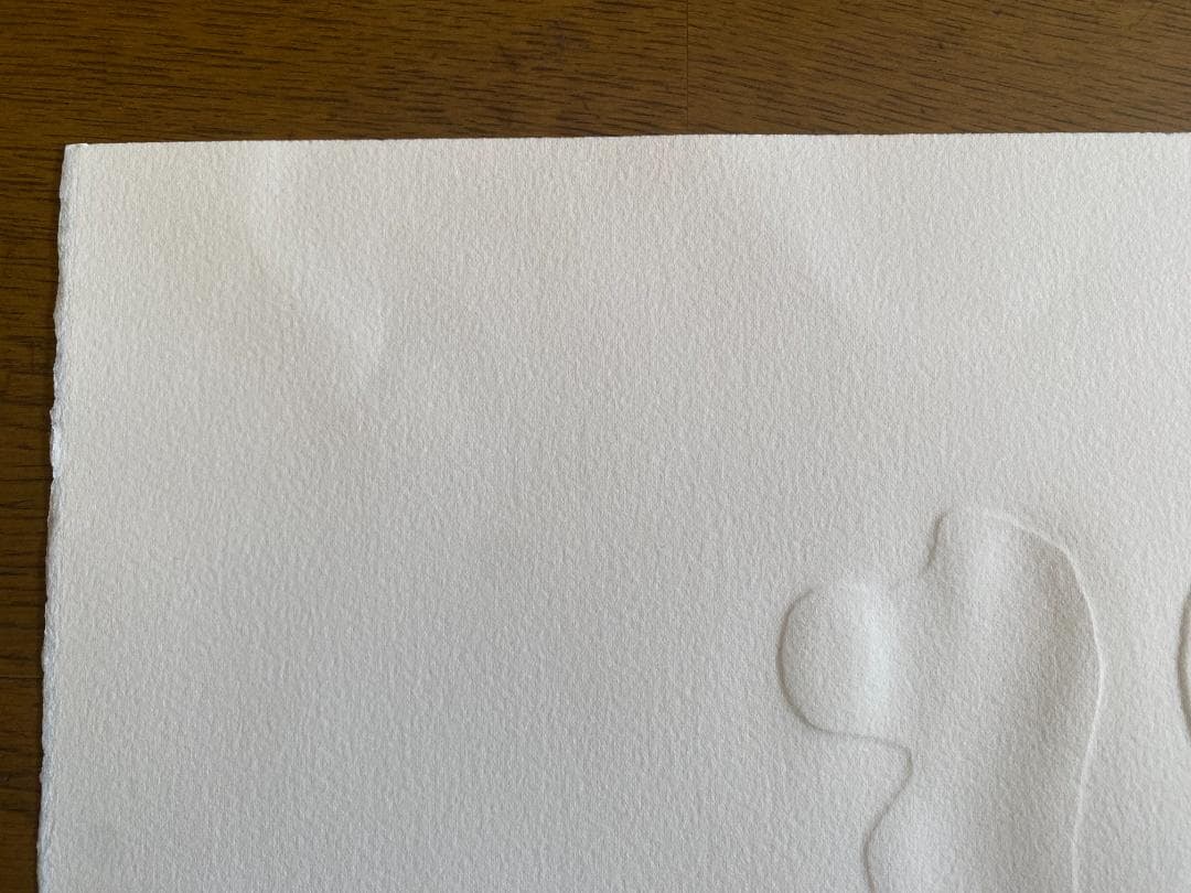 横尾忠則　版画作品　20部限定　サイン・エディションNo入り