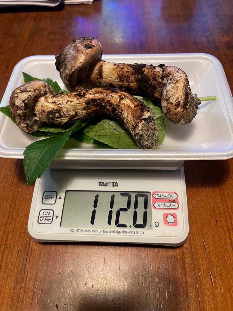 天然★山形県産松茸！(今年最後になります)