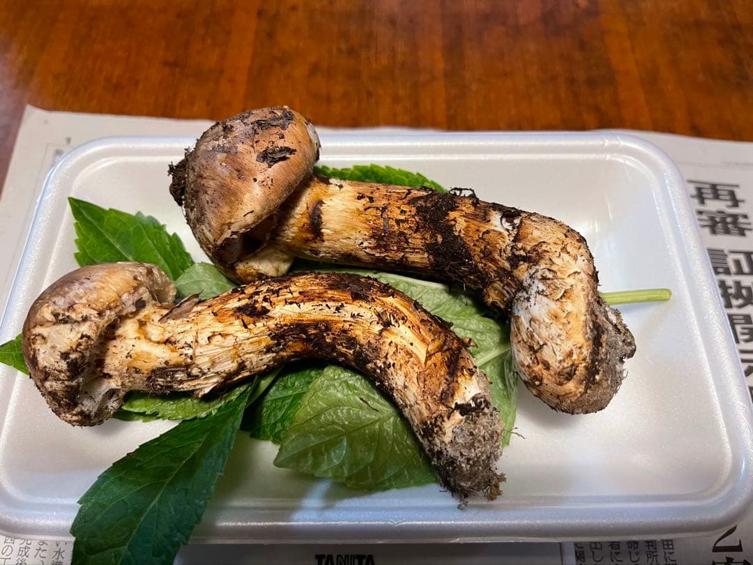 天然★山形県産松茸！(今年最後になります)