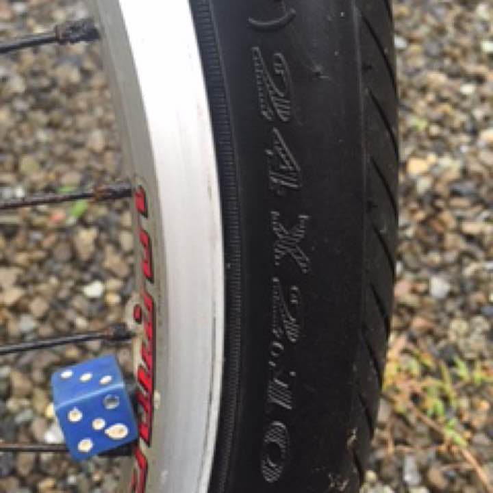 自転車本体 plathomono2