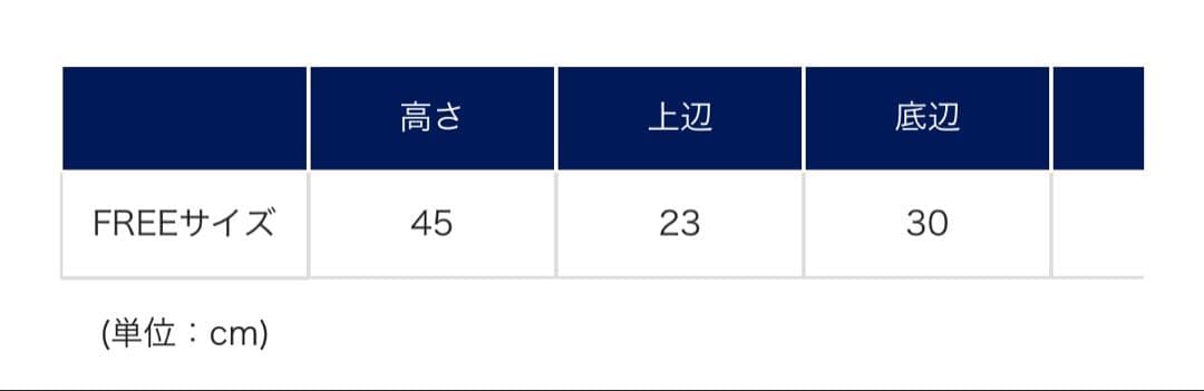 Carhartt WIP カーハート バックパック/リュックサック