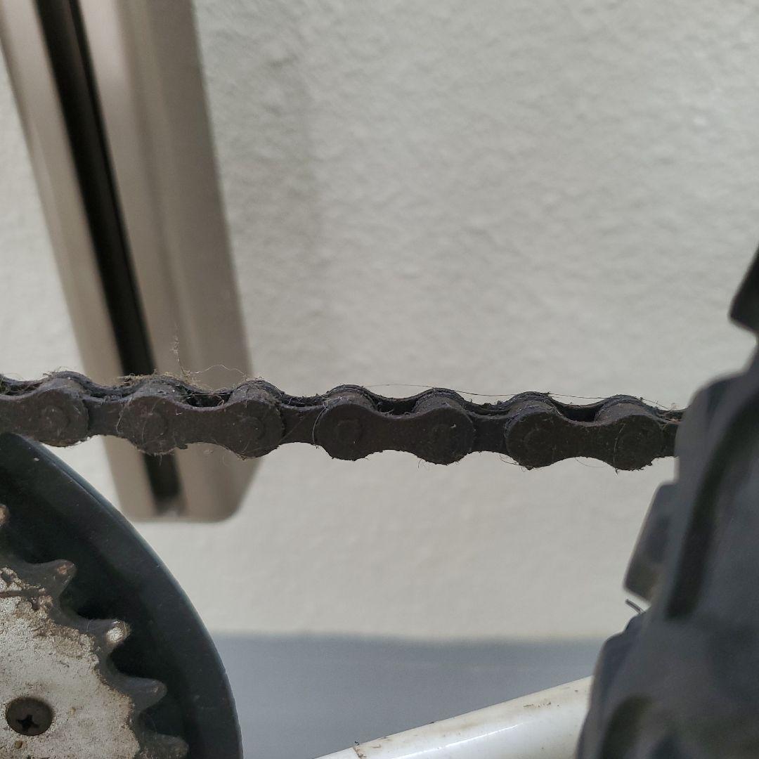 ルイガノ　 2016年モデル　LGS-J206　 ホワイト