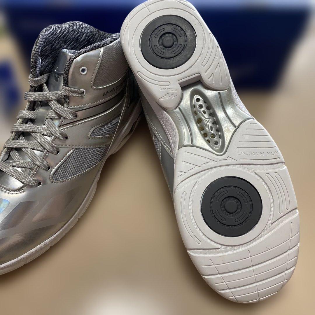 Mizuno ウェーブダイバース DE 27.0cm シルバー