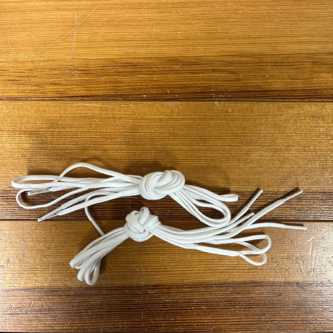 モレリアネオ4取替式24.0㎝