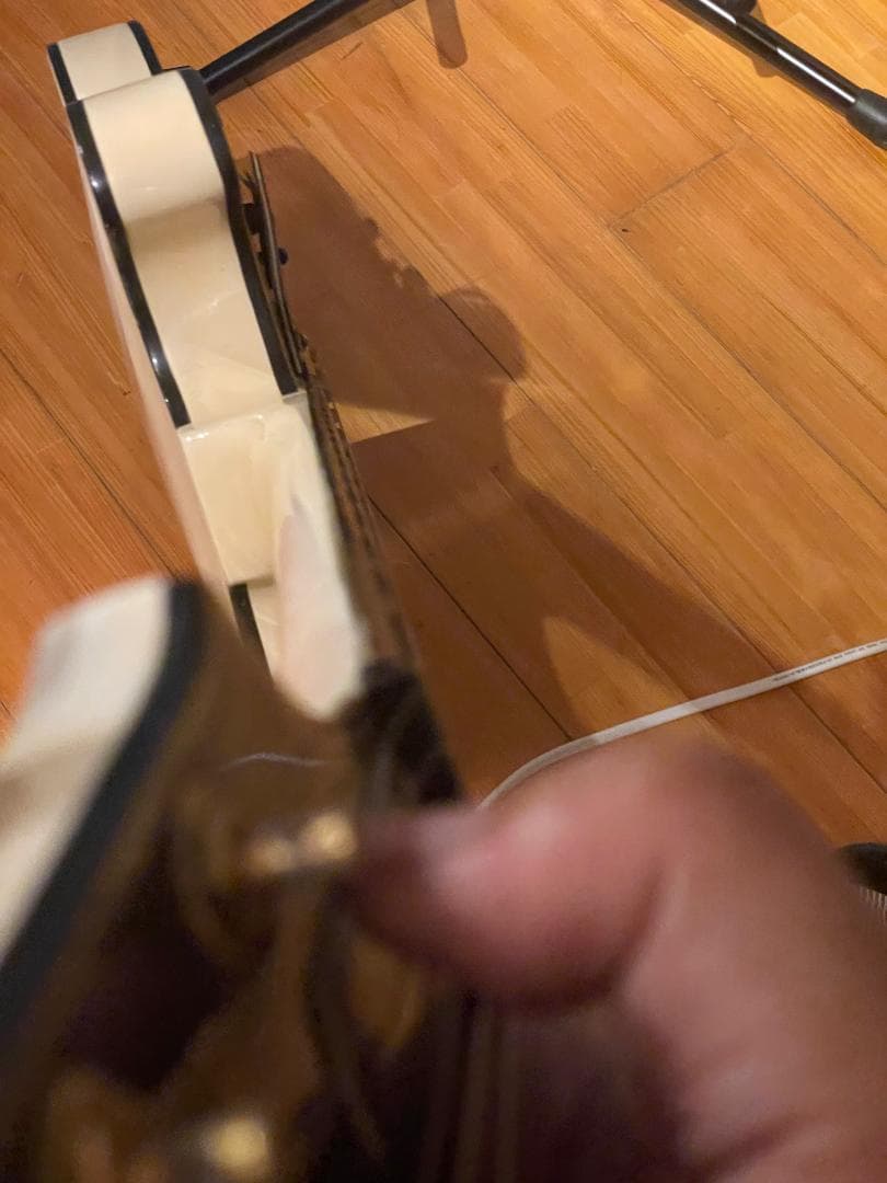 Aria Pro II TA-55　セミアコ？フルアコ？　希少動作品【1月限定】