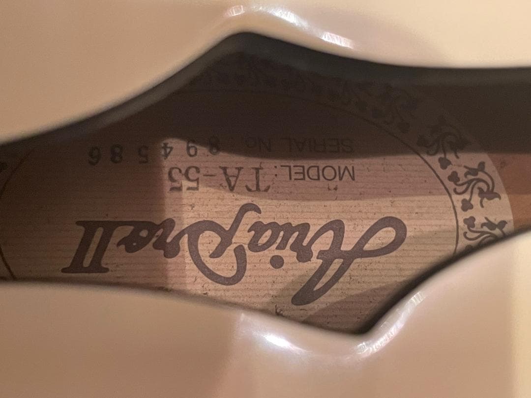 Aria Pro II TA-55　セミアコ？フルアコ？　希少動作品【1月限定】