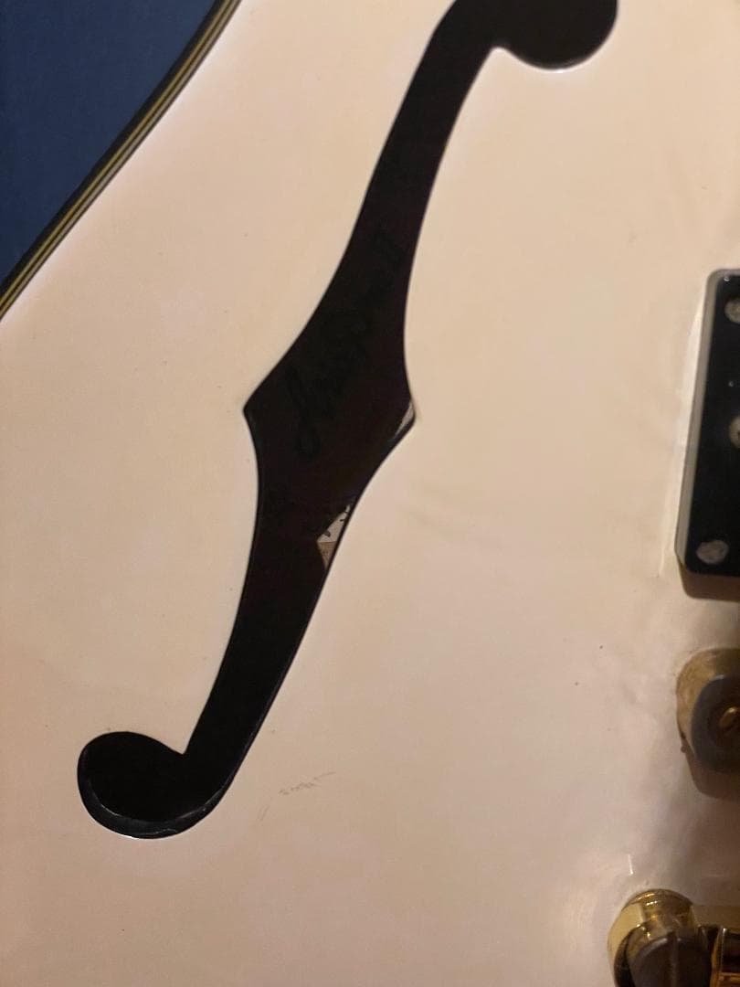 Aria Pro II TA-55　セミアコ？フルアコ？　希少動作品【1月限定】