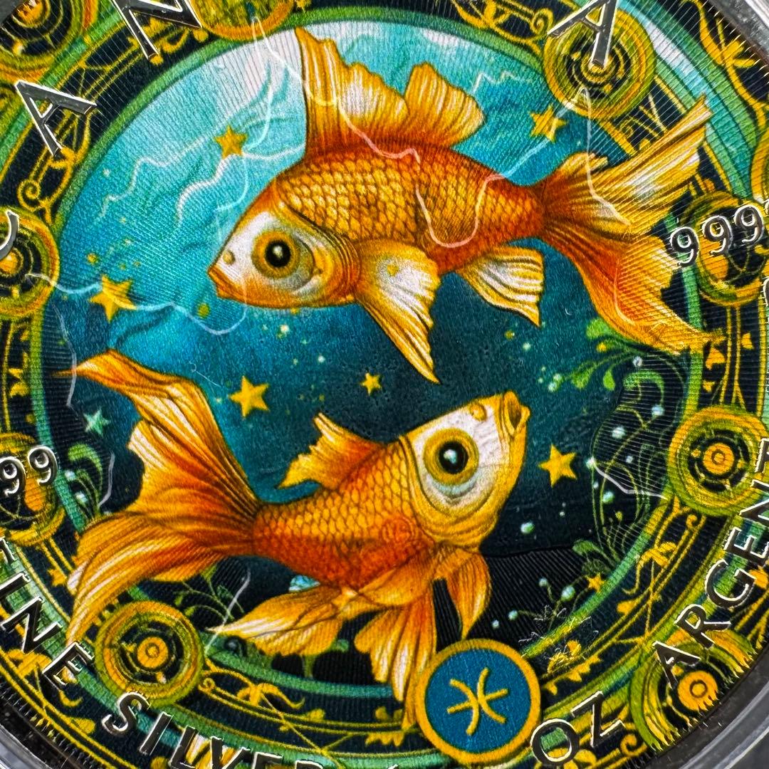 【paperbook】 メイプルリーフ 銀貨 カラー 金魚鉢で泳ぐ金魚