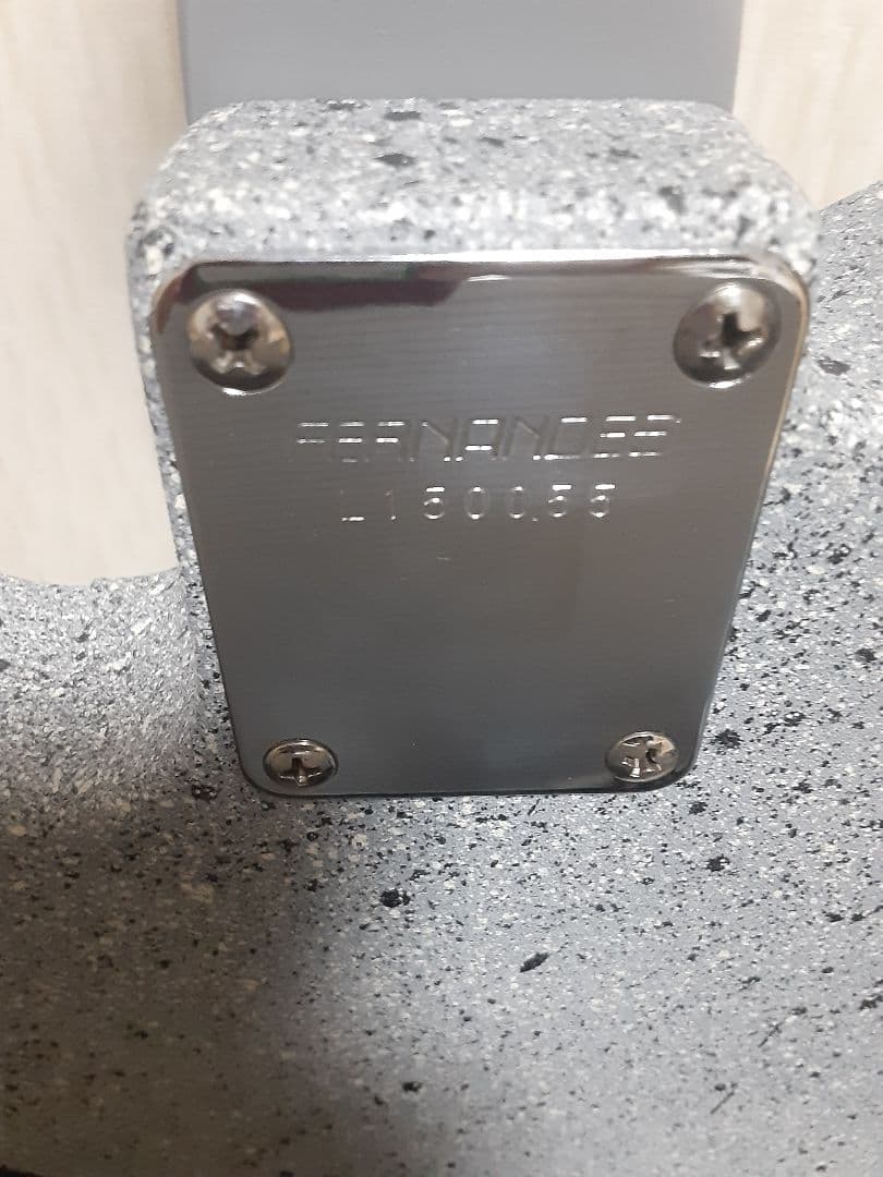 布袋モデル コンクリートFERNANDES エレキギター TEJ