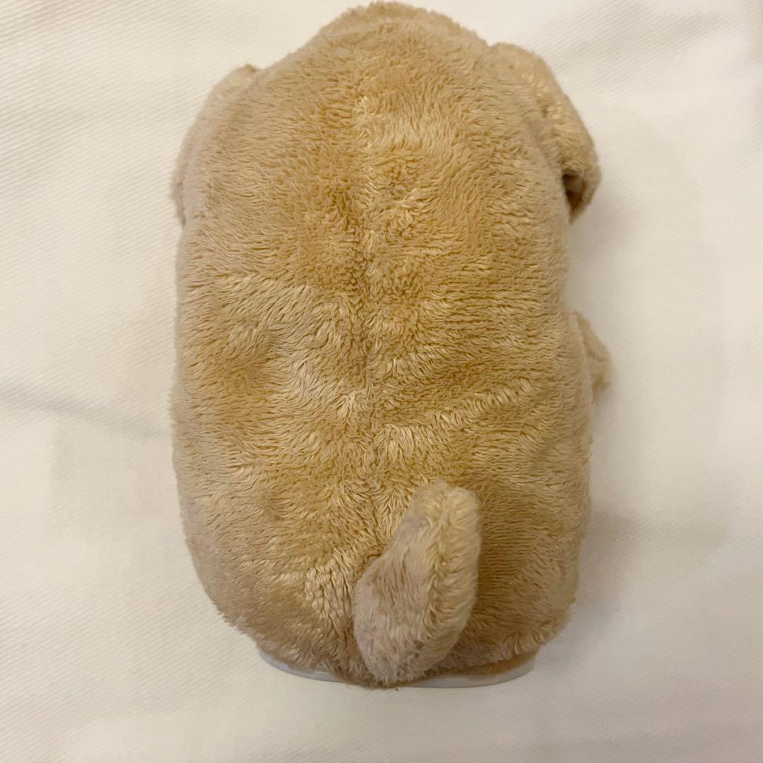 こえマネわんちゃん ぬいぐるみ