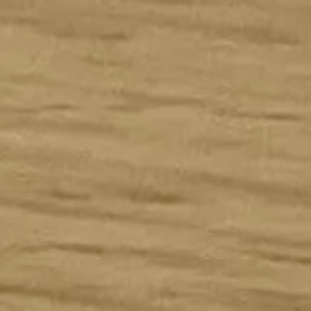 ビバレン XlamV 円盤 DUH イッセイ シャタカ 24枚