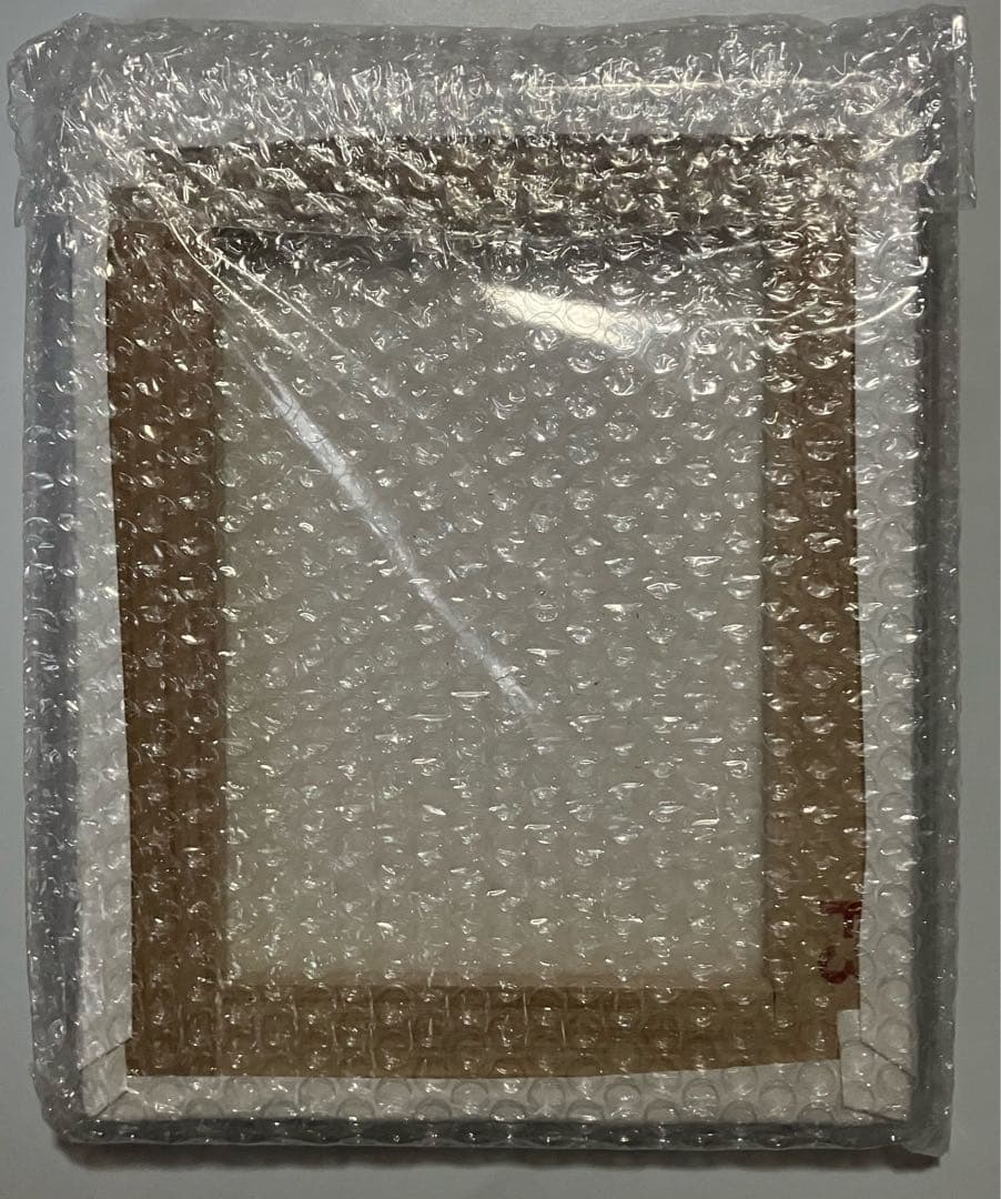 D.Gray-man 原画展 キャンバスアート　アレン　ネア