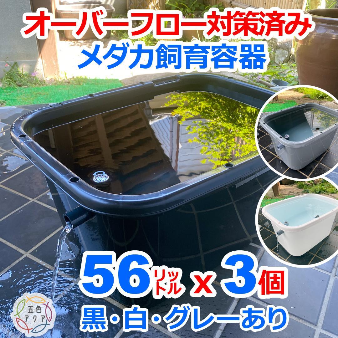 メダカ飼育ケース 56㍑x3個 白黒灰選択可 オーバーフロー付 金魚飼育容器
