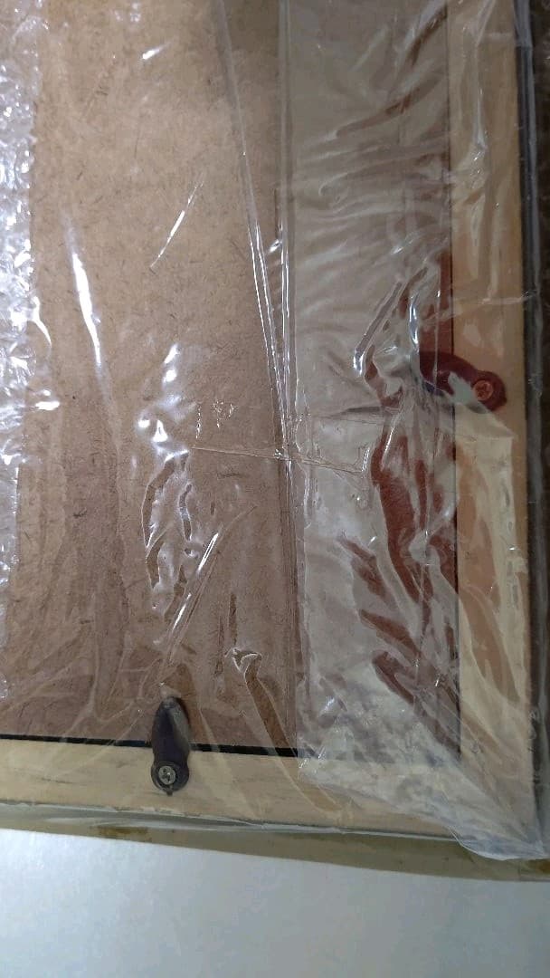 サッカービンズ記念額装 1998年フランス大会