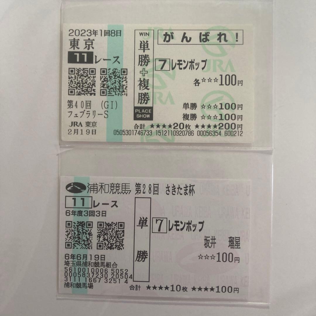 レモンポップ さきたま杯現地馬券 パンフレット フェブラリーS応援馬券 セット