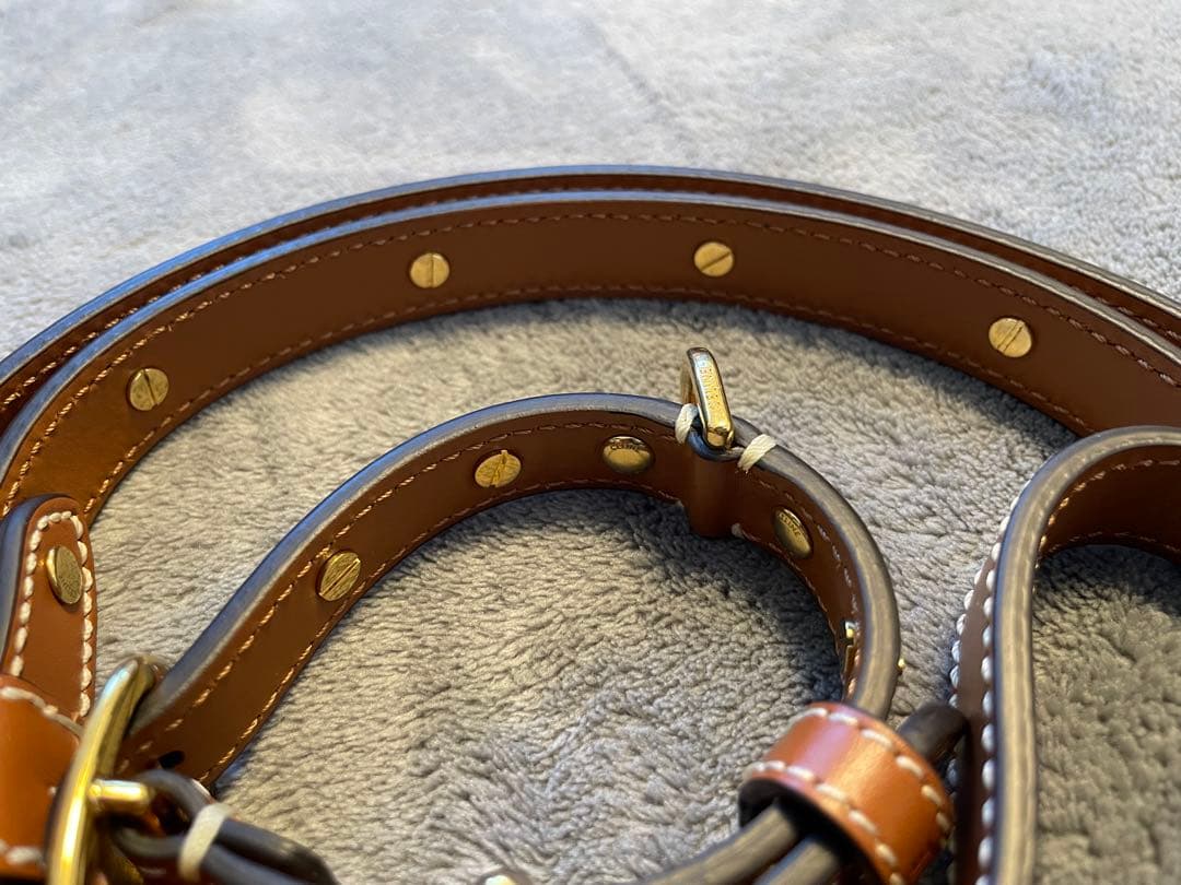 【新品未使用】セリーヌ　トリオンフ　首輪　リードトップセット　ドッグカラー　現行