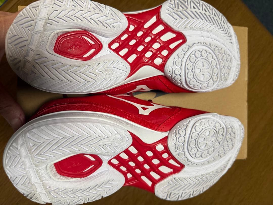 ミズノ バドミントンシューズ BDSS 25.5