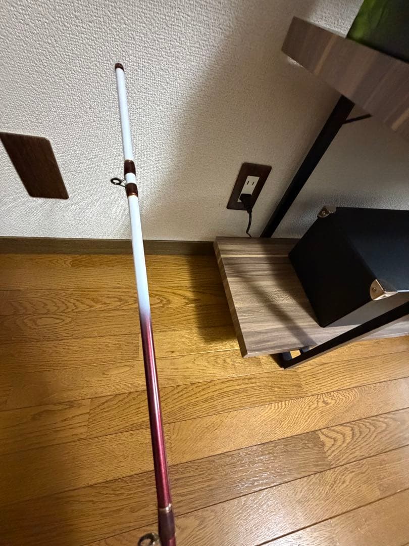 ダイワリーディングxメバル300-Ⅱ