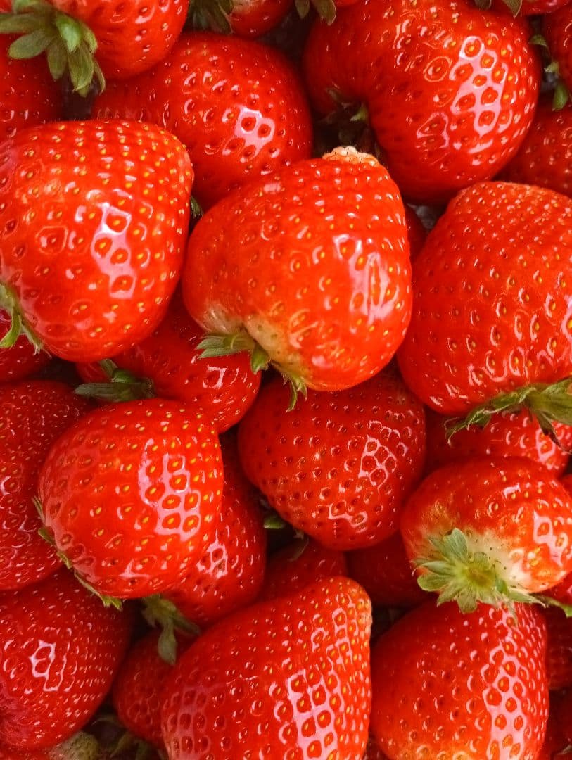 大量約6kg！とちあいか！規格外のため格安！甘くて酸味が少ない品種です！