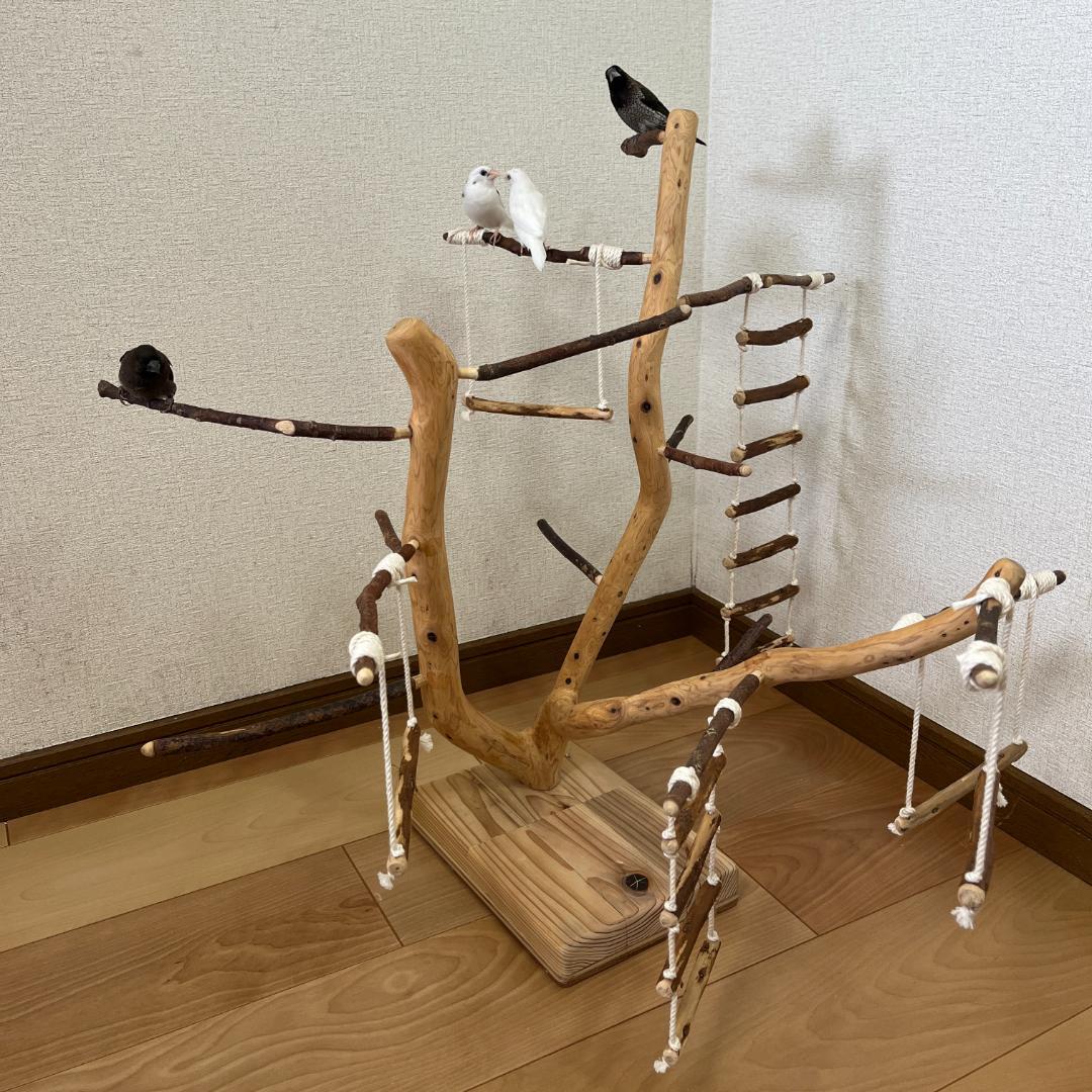 【小鳥用】あちこちブランコ&はしご付♬バードジム
