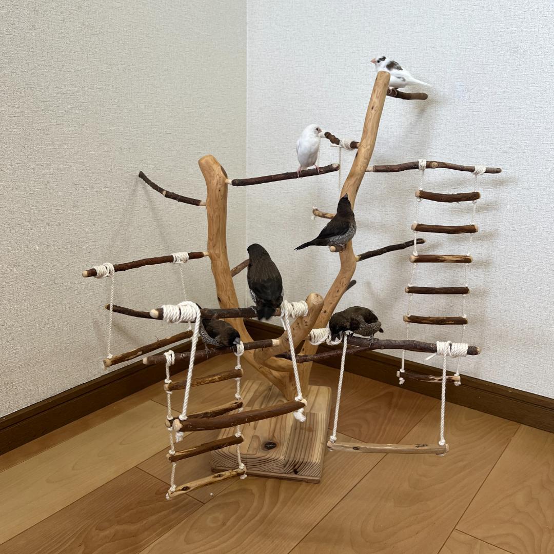 【小鳥用】あちこちブランコ&はしご付♬バードジム