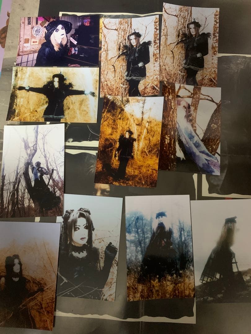 noir fleurir 生写真 32枚セット