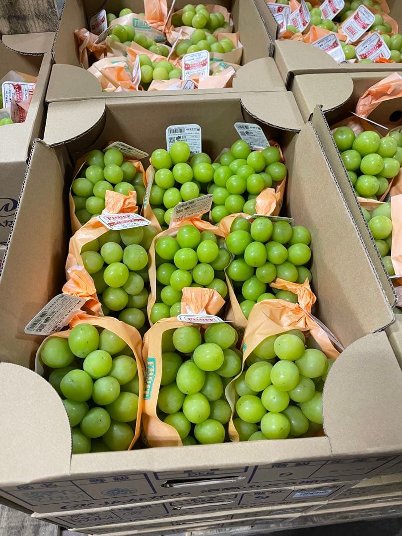 Cocoa＊　長野県シャインマスカット秀5キロ高級品質