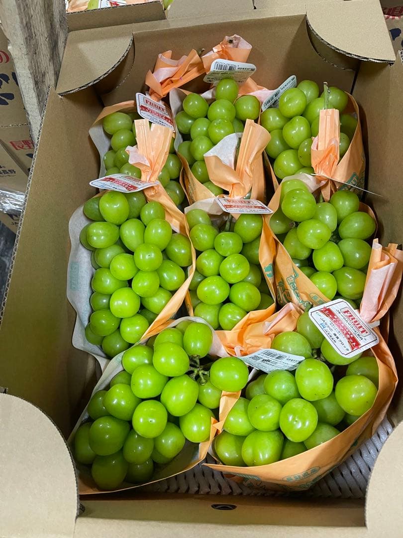 Cocoa＊　長野県シャインマスカット秀5キロ高級品質