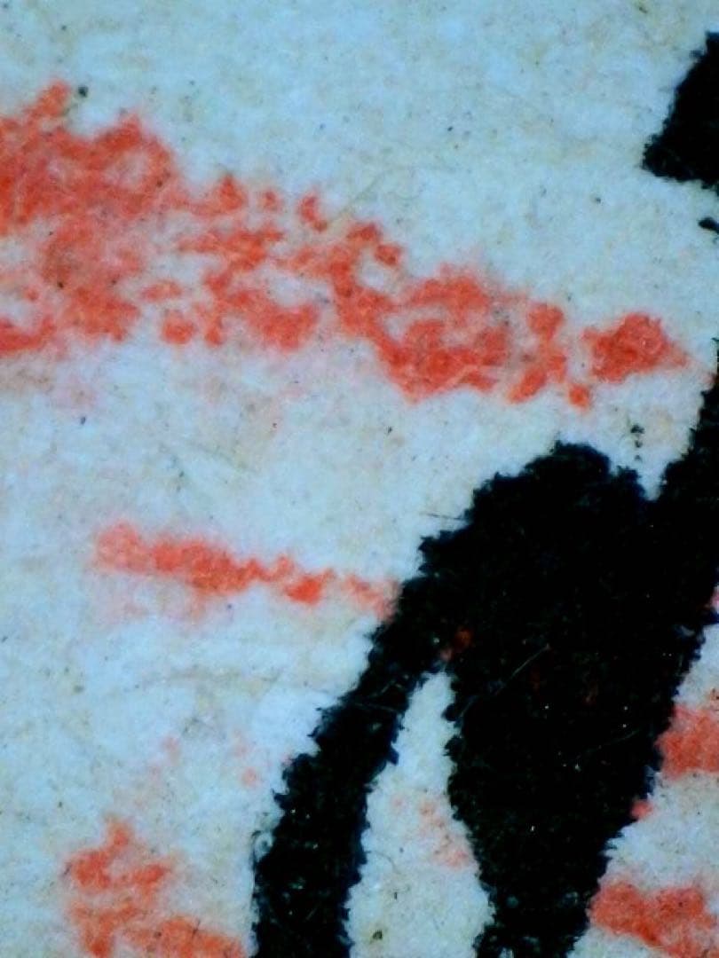 処分価格　狩野伊川院栄信 掛軸