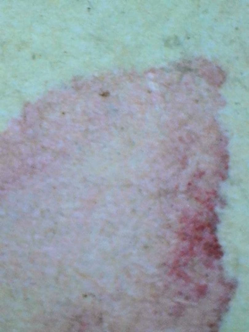 処分価格　狩野伊川院栄信 掛軸