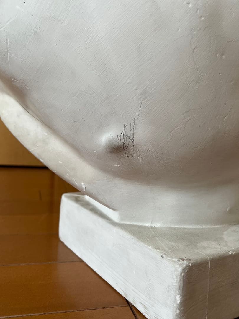 石膏像　ボルゲーゼ　闘士　美大受験