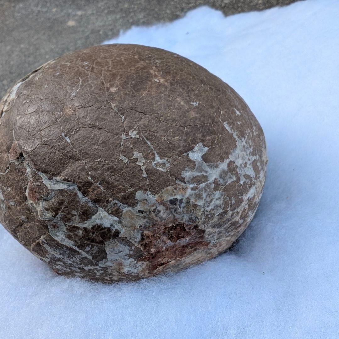 本物保証　恐竜ハドロサウルスの卵化石　絶品美肌の美品卵　極上カバー率　補修あり