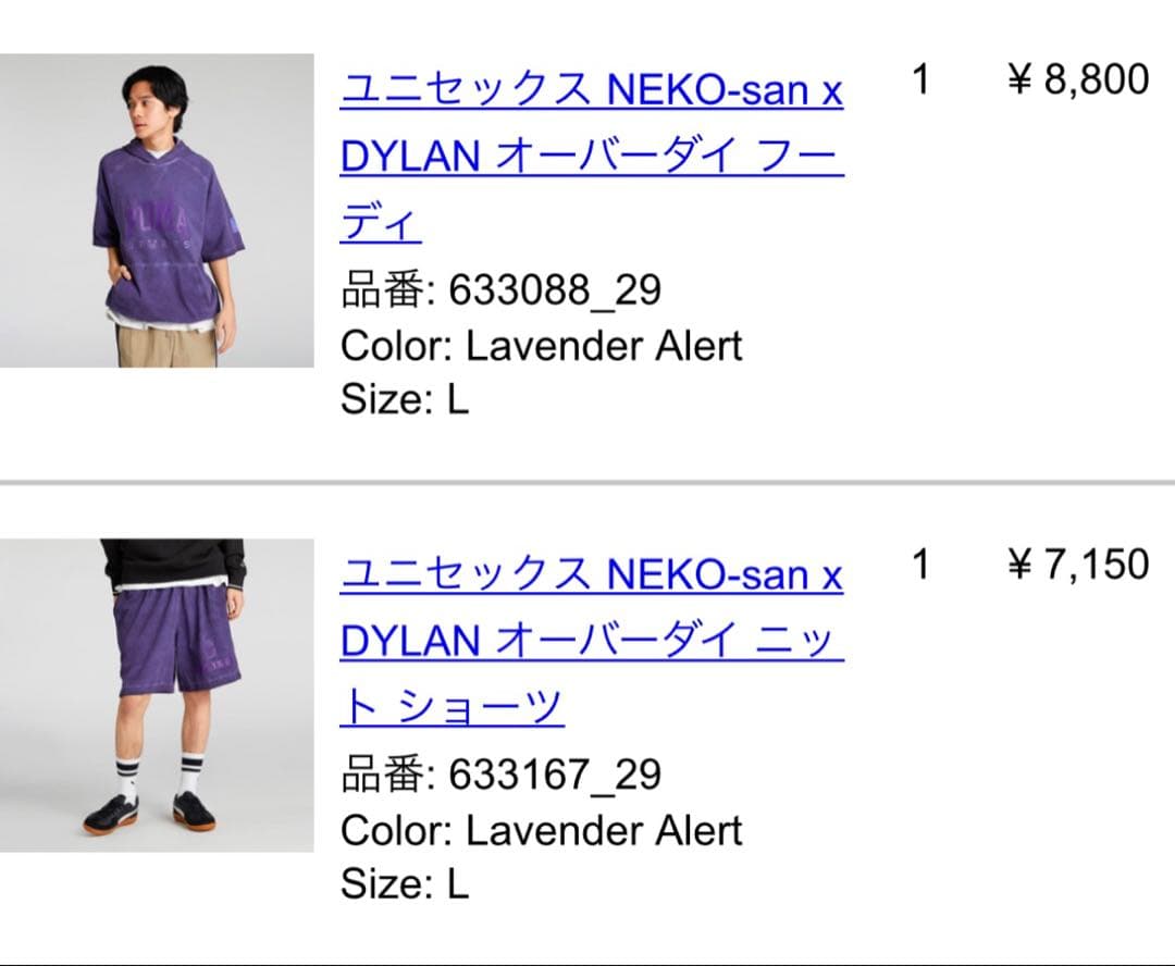 PUMA セットアップ　L