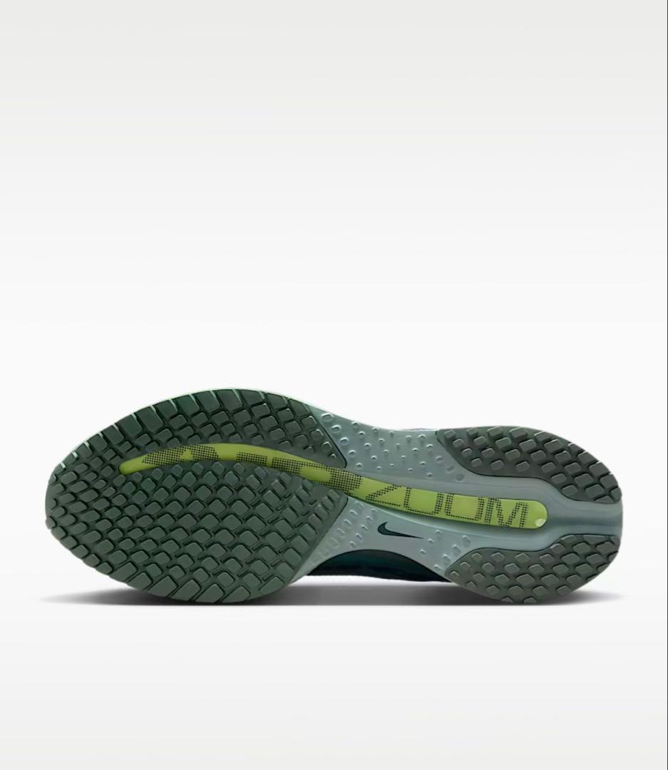 正規店購入品　定価29700円　ナイキ　ペガサス プレミアム