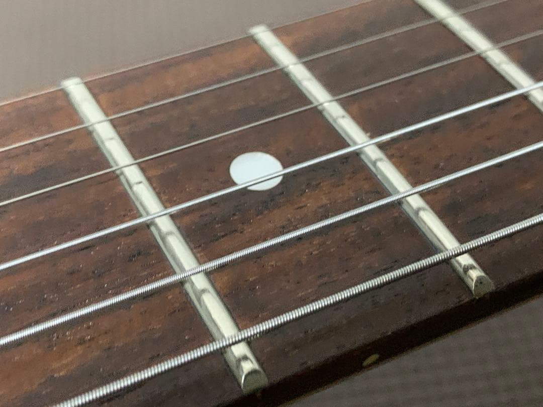 juno ジュノ ジャガー タイプ jaguar jg