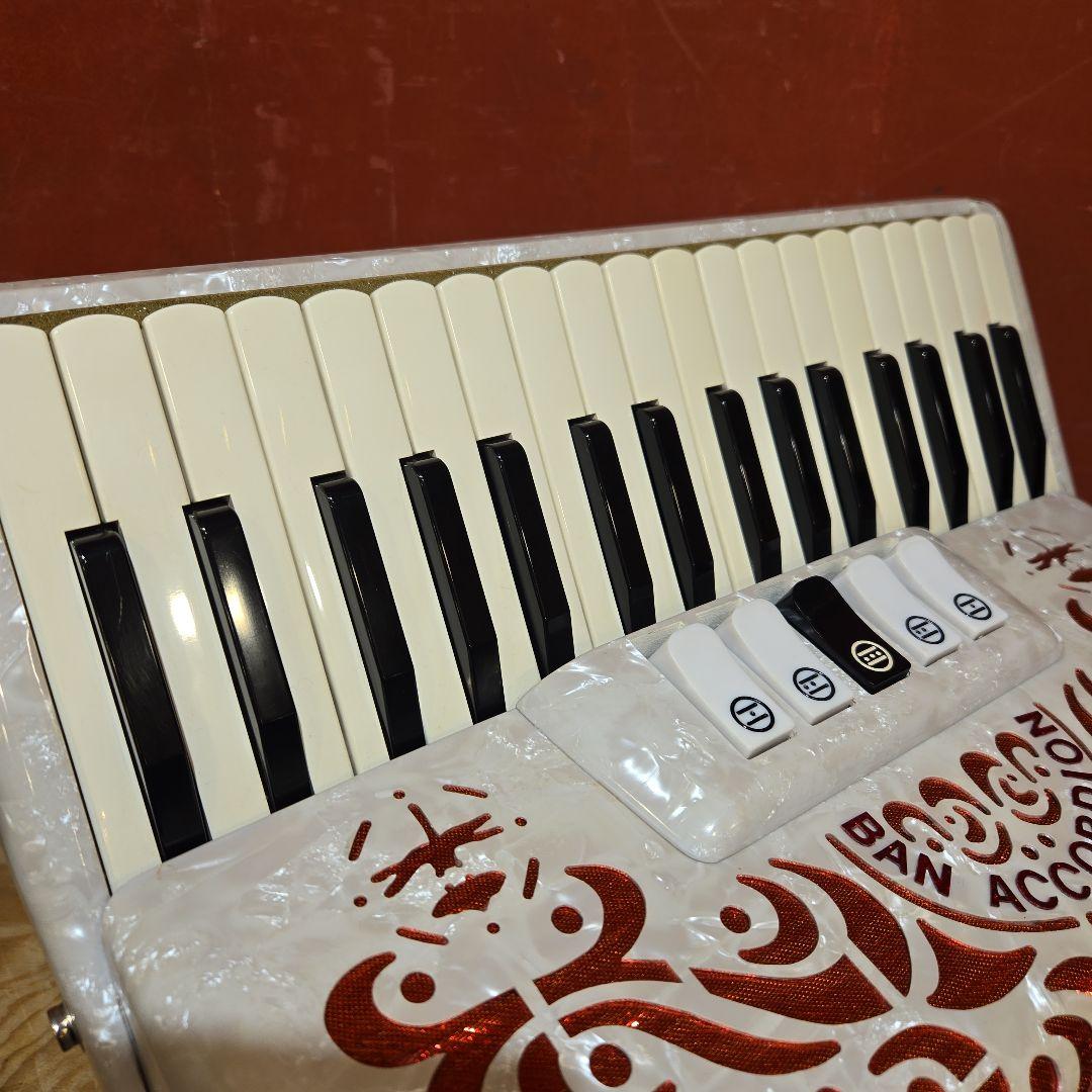 希少 レアカラー TOMBO No.65 CHANSON アコーディオン