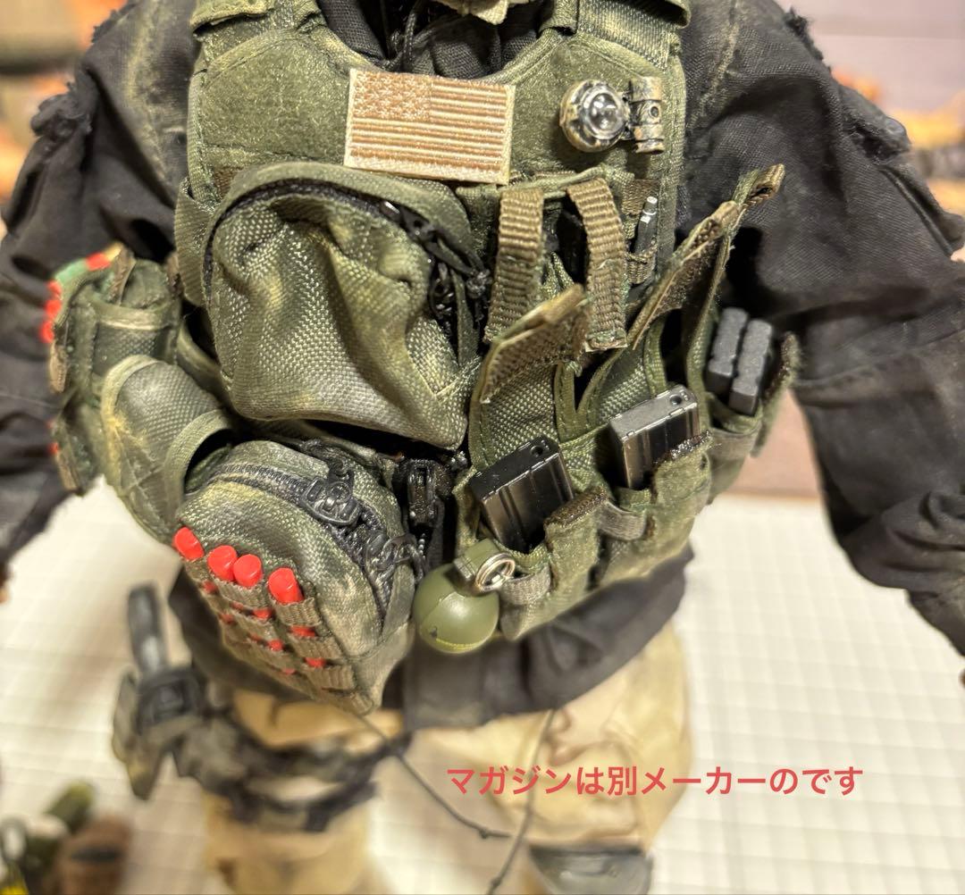 WARFARE風ミリタリーフィギュア damtoys 12インチ カスタム