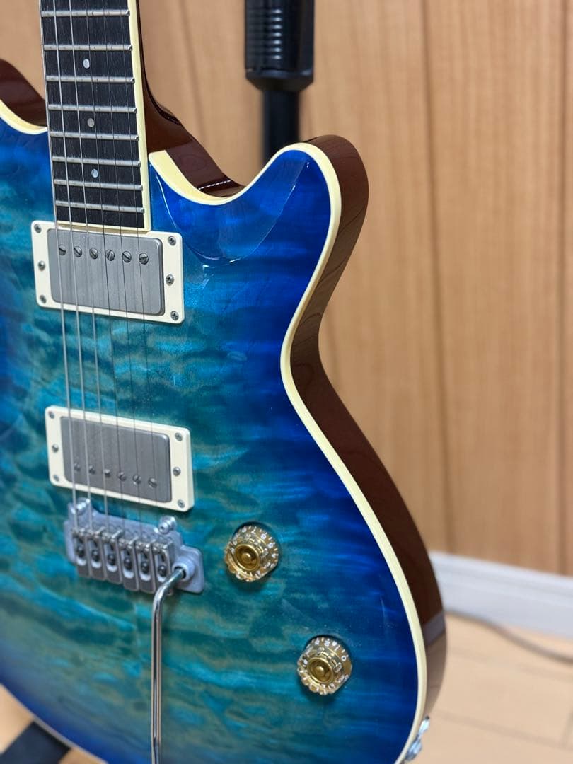 T’s Guitars Arc-STD VS100N マホガニー エボニー指板