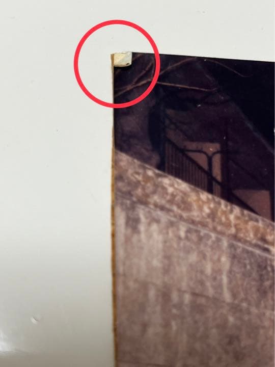 1989年 LUNACY LUNASEA デビュー前の写真