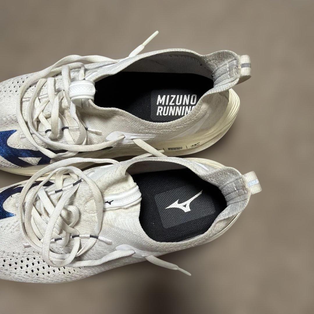 ミズノネオビスタ28cm