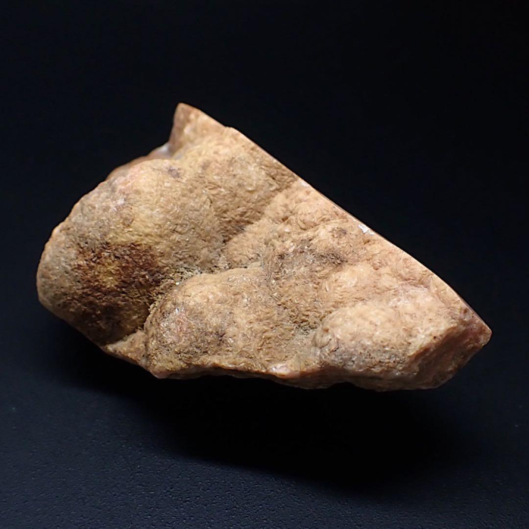 【ペルー産】インカローズ