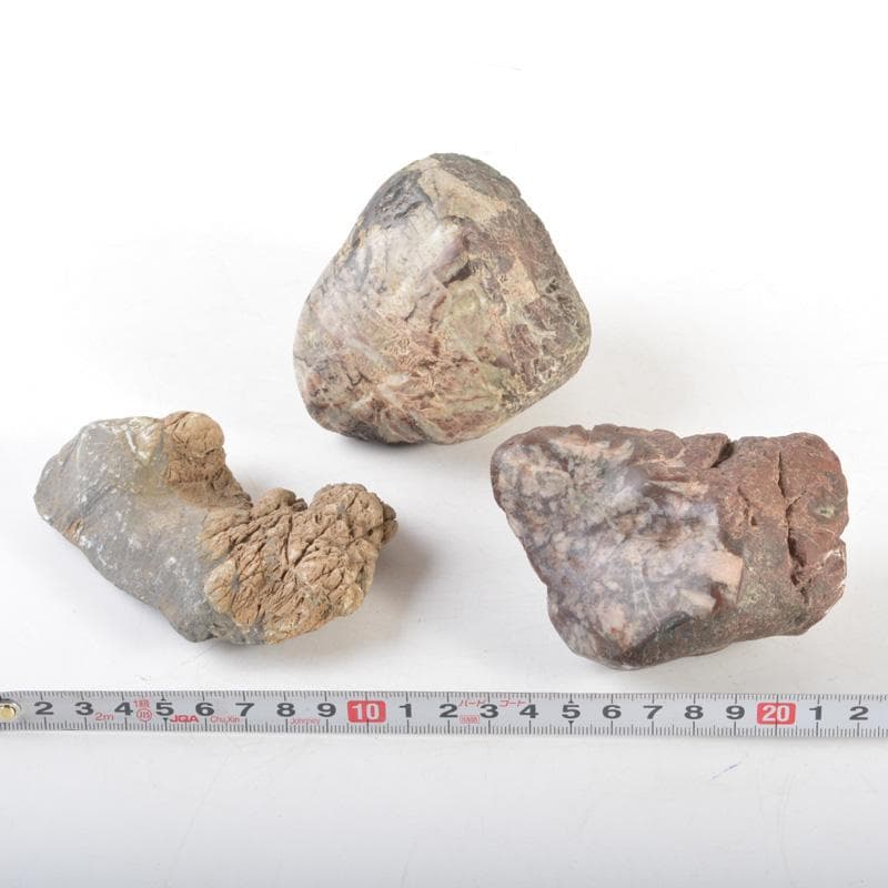 天然石　鑑賞石　菊花石など　置物　3点まとめて　C　5459A