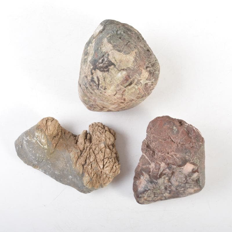 天然石　鑑賞石　菊花石など　置物　3点まとめて　C　5459A