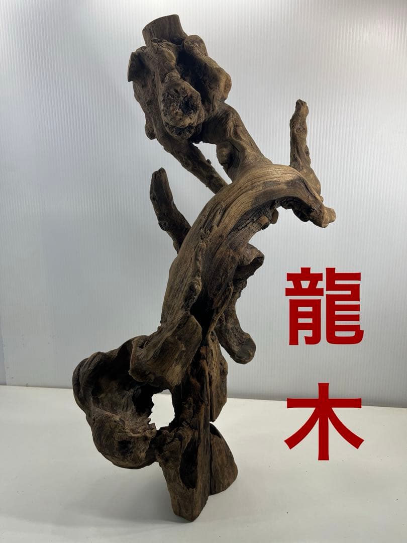 V67アク抜き済み流木 爬虫類シェルター 登り木 インテリア 生け花