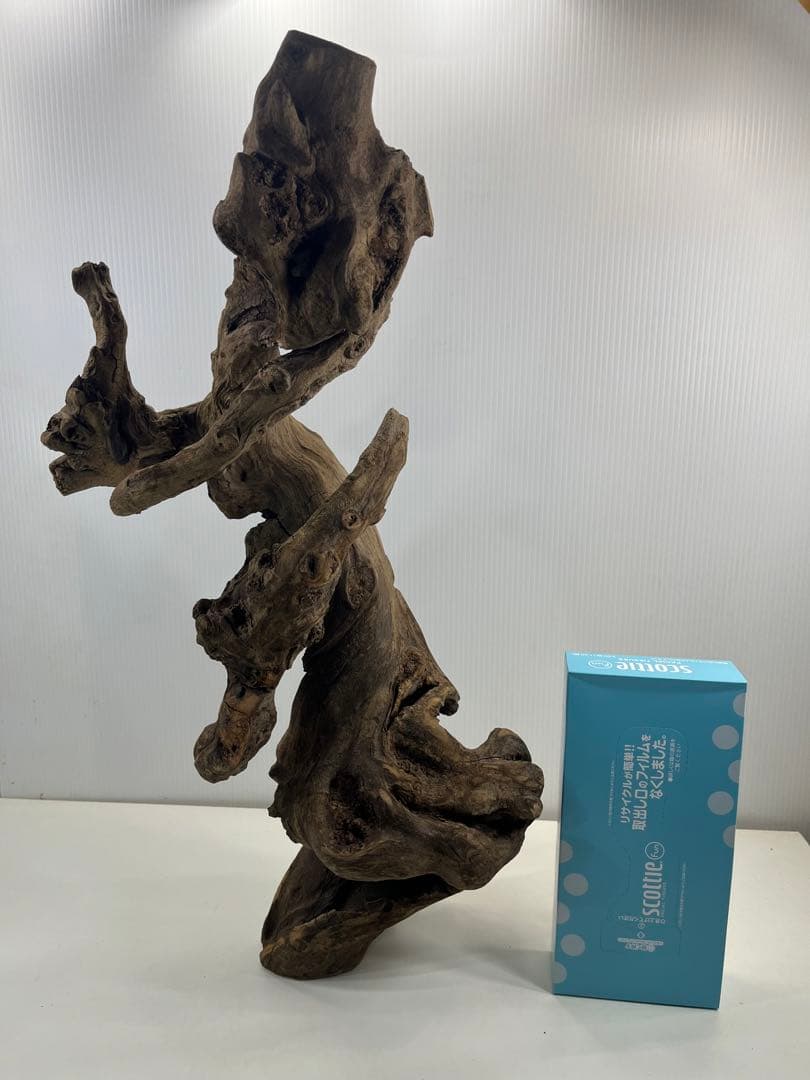 V67アク抜き済み流木 爬虫類シェルター 登り木 インテリア 生け花