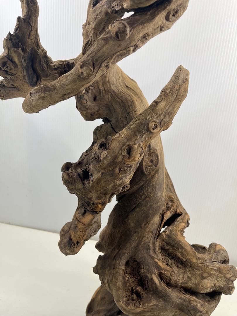 V67アク抜き済み流木 爬虫類シェルター 登り木 インテリア 生け花