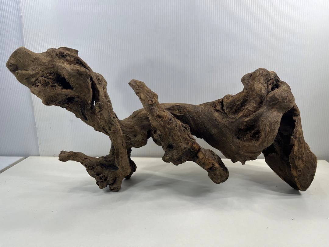 V67アク抜き済み流木 爬虫類シェルター 登り木 インテリア 生け花